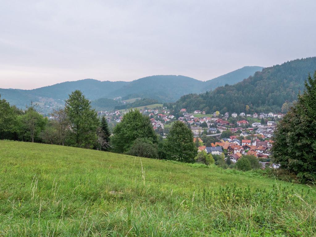 Quaint Apartment In Buhlertal With Private Garden Eksteriør billede