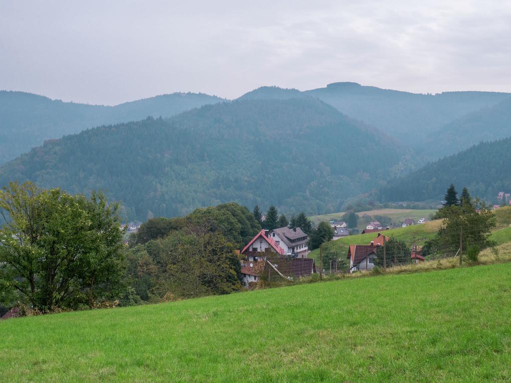 Quaint Apartment In Buhlertal With Private Garden Eksteriør billede